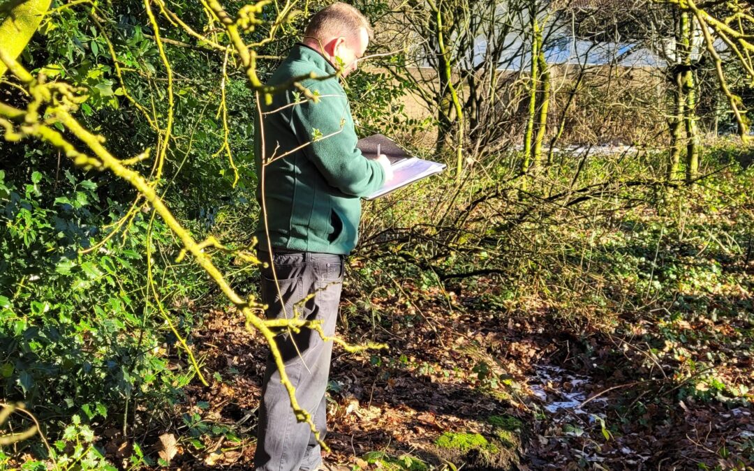 Photo shows a man doing a Japanese Knotweed survey.