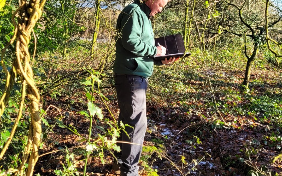 me doing a Japanese knotweed survey in a beautiful wooded area