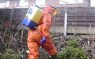 How far from your house can you have Japanese knotweed?
