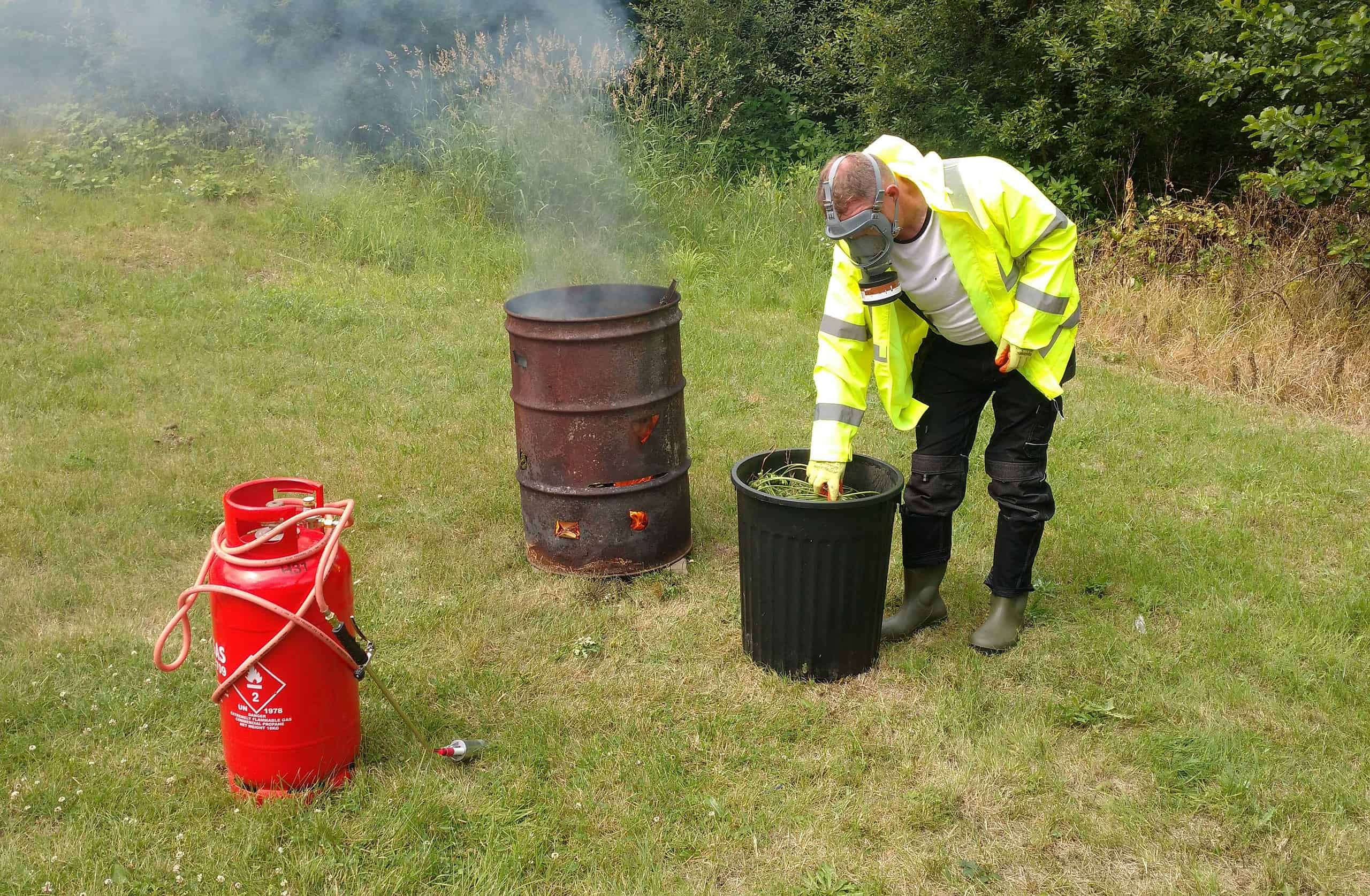 What happens if you burn knotweed? 2024 Japanese Knotweed Plus