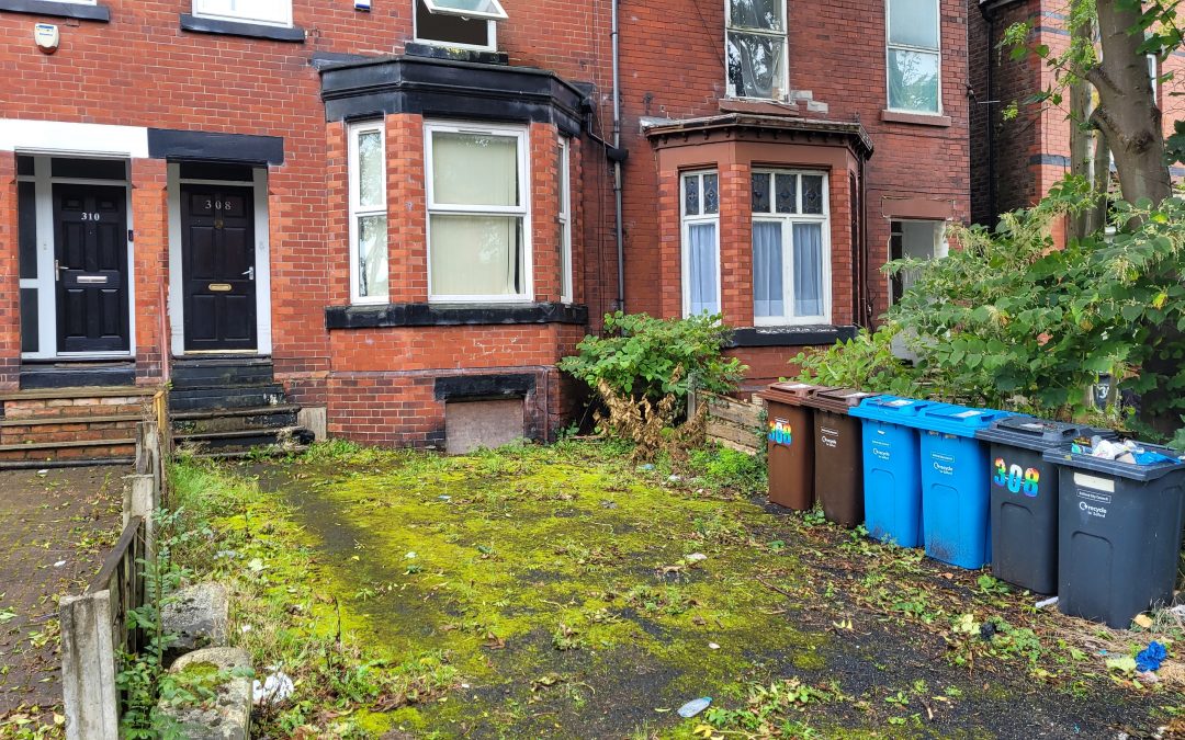 What happens if I buy a house with Japanese knotweed?