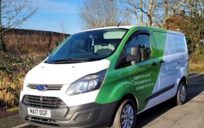 Is it OK to buy house with Japanese knotweed?