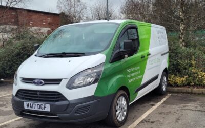 What time of year should you treat Japanese knotweed?