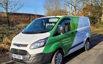 How much does it cost to remove Japanese knotweed UK?