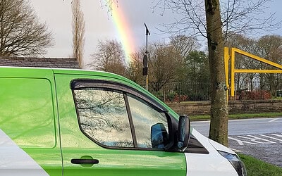 How to Minimize the Impact of Japanese Knotweed on Your Property