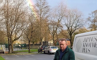 Why is there so much negativity on line regarding Japanese knotweed?