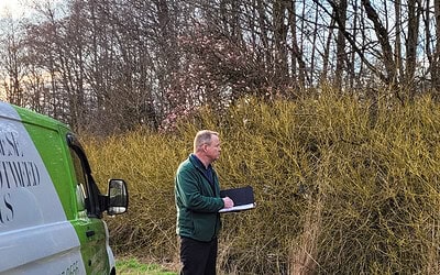 Conveyancing Surveyor Missed Japanese Knotweed