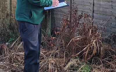 The Best Ways to Stay Ahead of the Curve in Japanese Knotweed Management