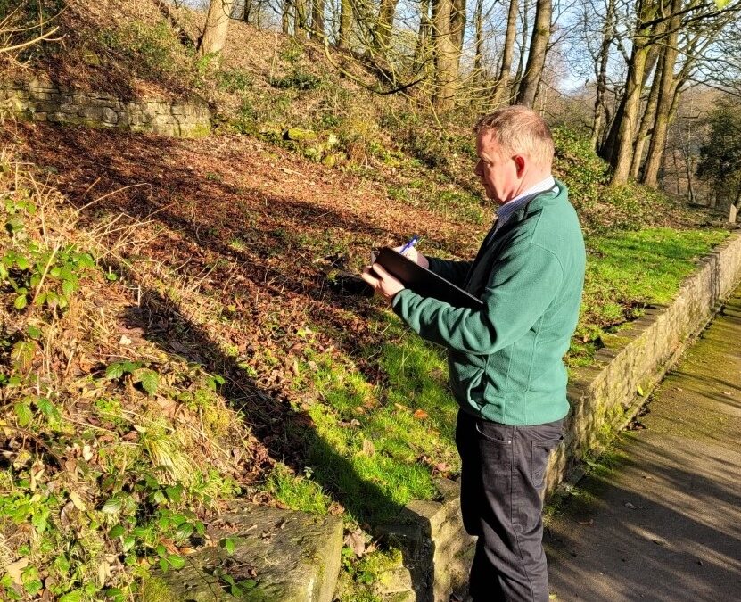 photo shows a surveyor looking at The Best Ways to Prevent Japanese Knotweed from Spreading on Your Property