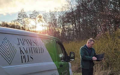 The Most Effective Approaches for Japanese Knotweed Control on a Budget