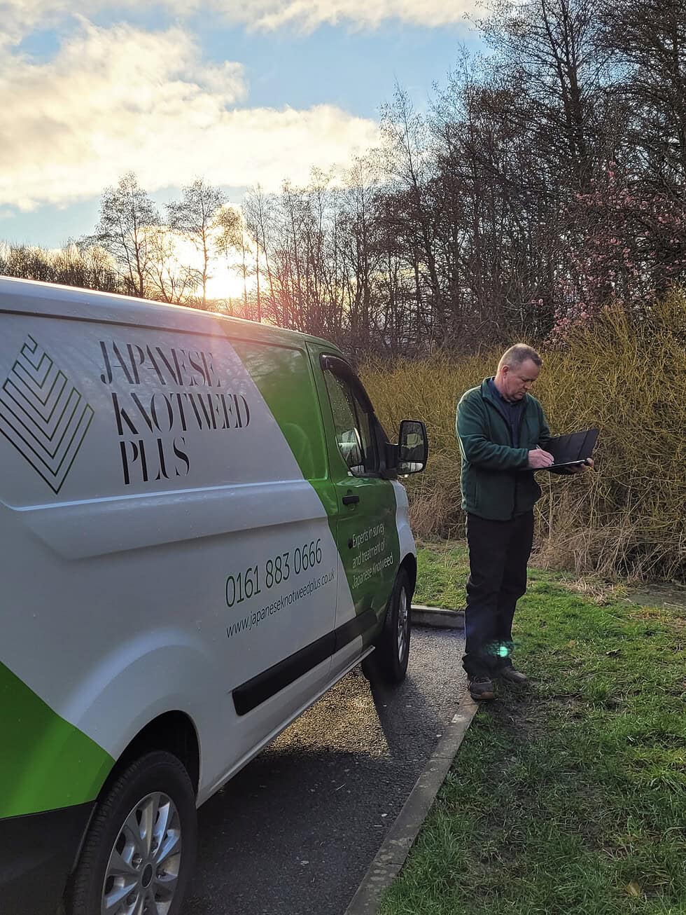 The Most Effective Approaches for Japanese Knotweed Control on a Budget ...
