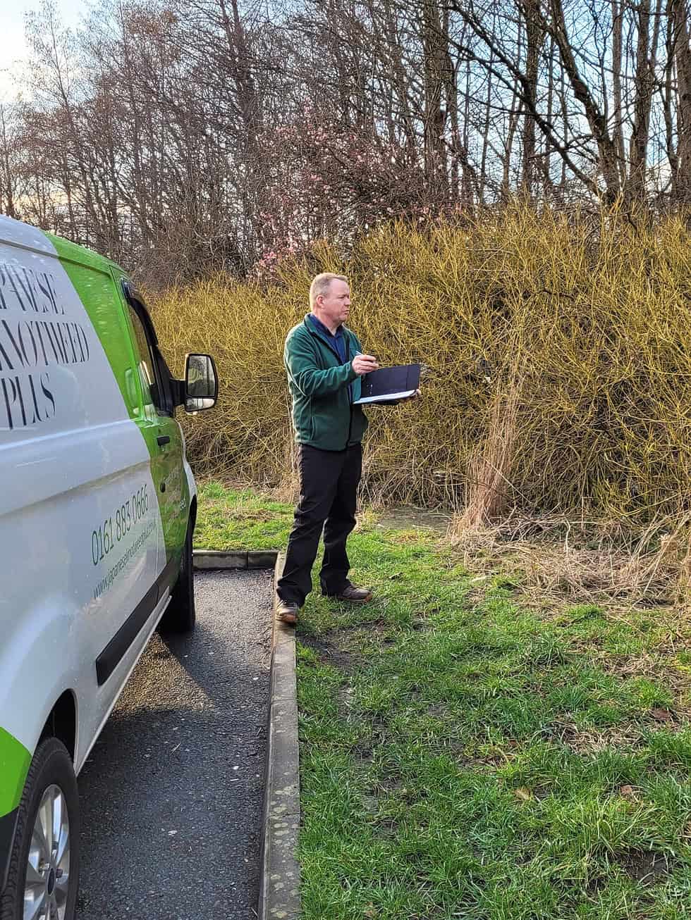 Are you legally allowed to bury Japanese knotweed? 2024 Japanese