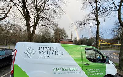 What is the Japanese knotweed anti-social behaviour law