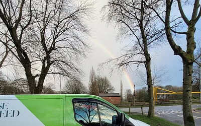 The Best Ways to Manage Japanese Knotweed on Your Property with Minimal Impact