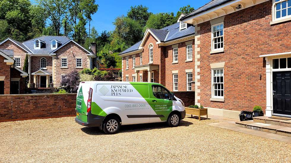 Do estate agents have to tell you about Japanese knotweed? 2024 Japanese Knotweed Plus