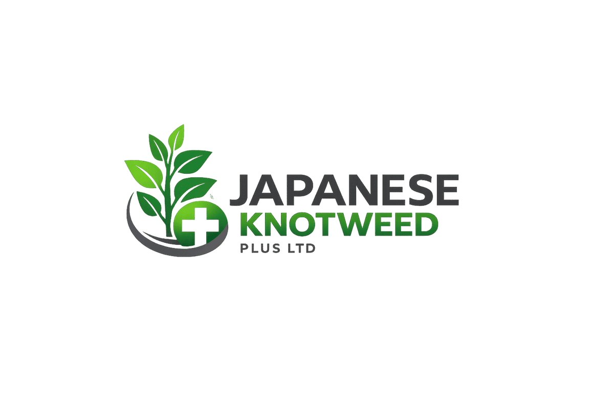 Japanese Knotweed Plus